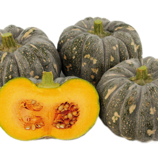 ALL_catalog_24F13_mdjP2zrL6r