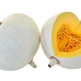 ALL_catalog_24F13_n5fTN05gzN