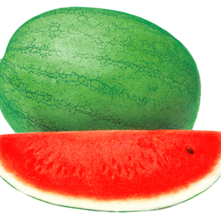 ALL_catalog_24F13_pl8MlQfmaL