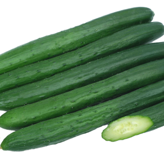 ALL_catalog_24F13_pthDqWfLaT