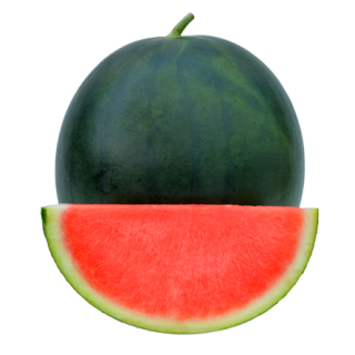 ALL_catalog_24F13_rGKDWXSOQO