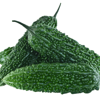 ALL_catalog_24F13_rIffWzpmnn