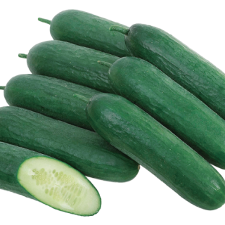 ALL_catalog_24F13_rXqtUpr3Lx