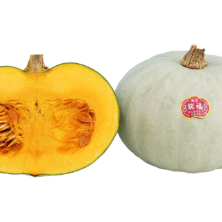 ALL_catalog_24F13_rq1QjnAE8N