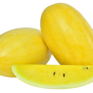 ALL_catalog_24F13_rt0jWiaGHN