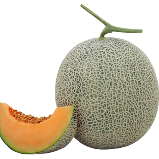 ALL_catalog_24F13_sNL6dIHISe