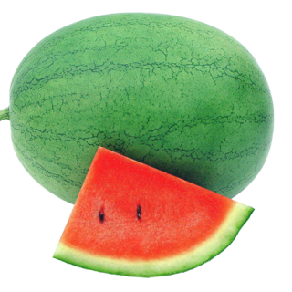 ALL_catalog_24F13_svpQfpL7nX