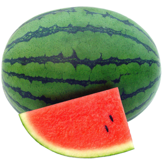 ALL_catalog_24F13_tnMGtmJaCD