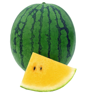 ALL_catalog_24F13_tpEqjPAgBl