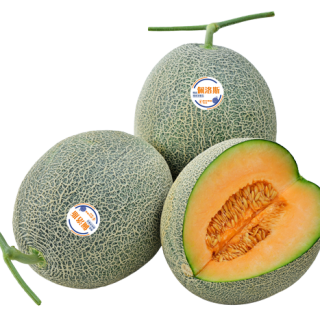 ALL_catalog_24F13_u8906xtiU3