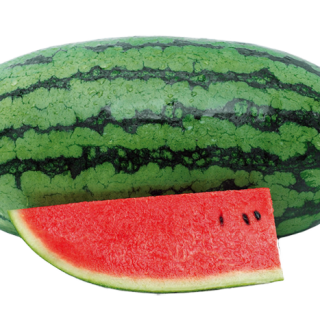 ALL_catalog_24F13_uoqJAUqaer