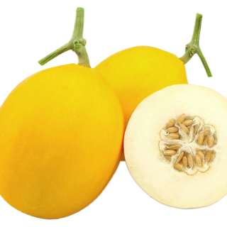 ALL_catalog_24F13_uwb2Y17jtN