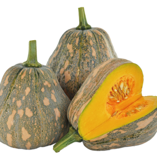 ALL_catalog_24F13_vId0Ex8QPQ