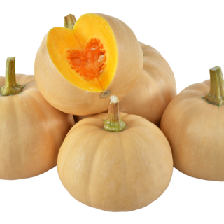 ALL_catalog_24F13_vYsvrOeXvw