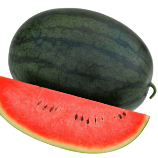 ALL_catalog_24F13_vZXxACVy38