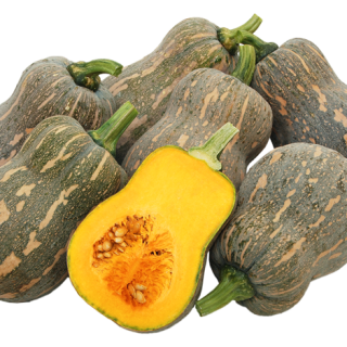 ALL_catalog_24F13_vwhGMl5NGl