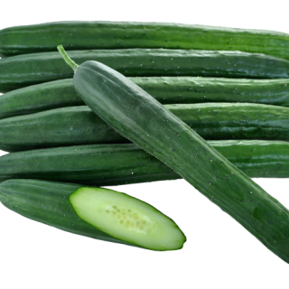 ALL_catalog_24F13_wV32cG4Kw2