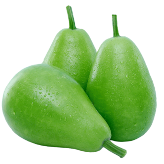 ALL_catalog_24F13_wXEgymSiit