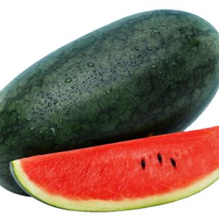 ALL_catalog_24F13_xHhFBYTHQc