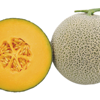 ALL_catalog_24F13_xhkmHRa0s1