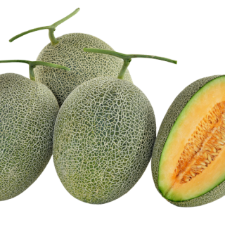 ALL_catalog_24F13_z1GXmg8TiN