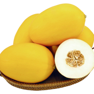 ALL_catalog_24F13_z5OCl0qUJL