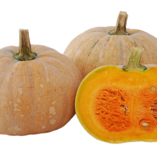 ALL_catalog_24F13_zmFA4Gcpj6