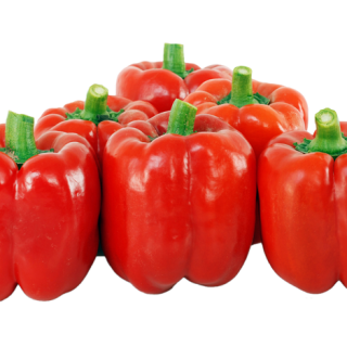 ALL_catalog_24F17_0az3pLk9n4