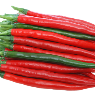 ALL_catalog_24F17_3dhFyOfVUN