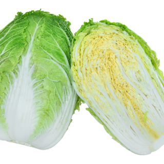 ALL_catalog_24F17_6aG08pyj2f