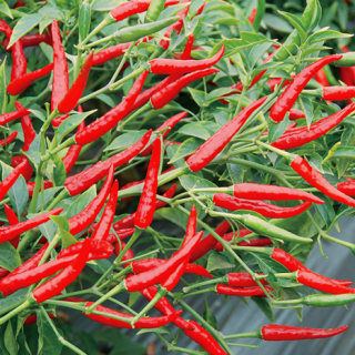 ALL_catalog_24F17_754VIKdGb1