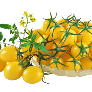 ALL_catalog_24F17_7UDYZhmE8v