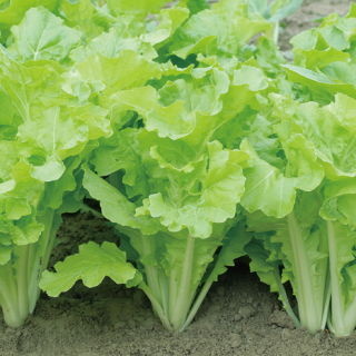 ALL_catalog_24F17_7crFoOOurK