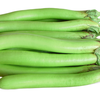 ALL_catalog_24F17_A00NfQpAqB