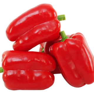 ALL_catalog_24F17_AbhhZI6Xb6