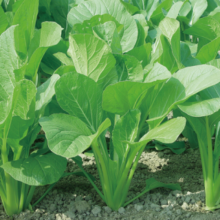 ALL_catalog_24F17_B3YavN7XDo