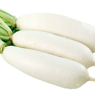 ALL_catalog_24F17_BtYmQL4l8f