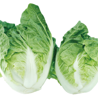 ALL_catalog_24F17_CNEZfLalSr