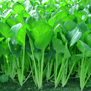 ALL_catalog_24F17_Cfo1ZOmKqA