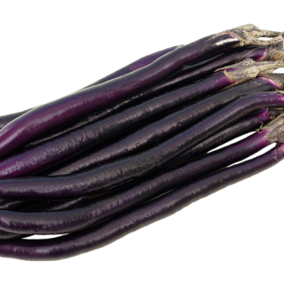 ALL_catalog_24F17_DTHCaIwgpj