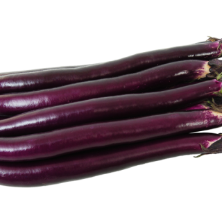 ALL_catalog_24F17_DuQcQDh13K