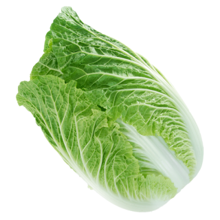 ALL_catalog_24F17_FA2XPkyFkJ