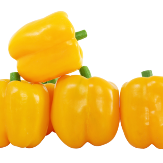 ALL_catalog_24F17_FWPL9Dl9B1