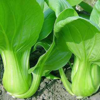 ALL_catalog_24F17_Fg43eVZG7a