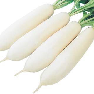 ALL_catalog_24F17_IUHHGVAw96