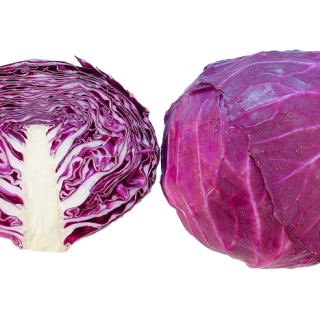 ALL_catalog_24F17_JI9mOS8L7O