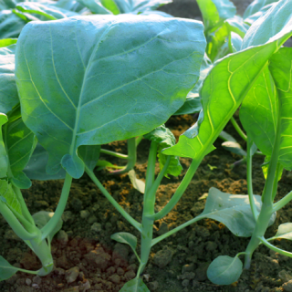 ALL_catalog_24F17_KeApUo8nhZ