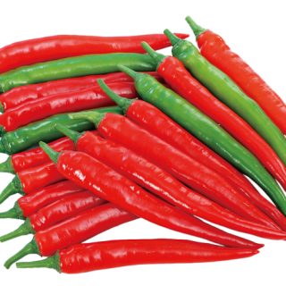 ALL_catalog_24F17_LZd497helc