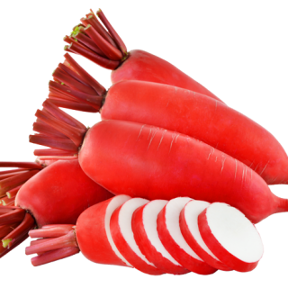 ALL_catalog_24F17_M7a9gZioRR