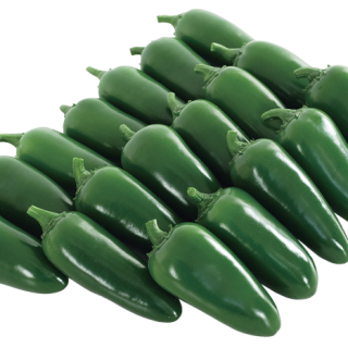 ALL_catalog_24F17_M8SIkhyUCY